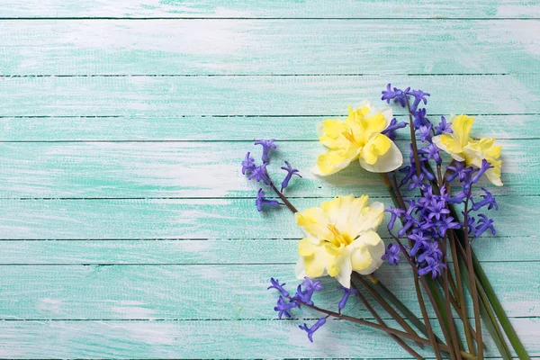 Flores amarelas e azuis frescas — Fotografia de Stock