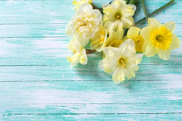 Narciso amarelo em madeira — Fotografia de Stock