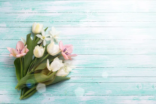 Bloemen in de lichtstraal — Stockfoto