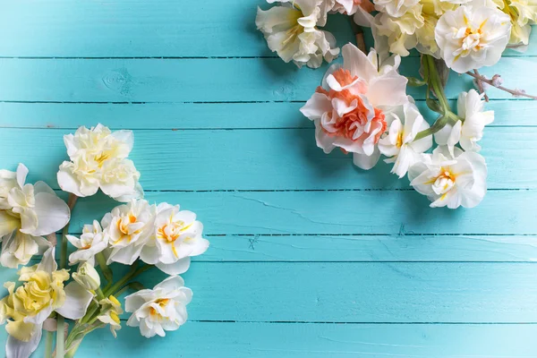 Daffodils and willow flowers — Stock Photo, Image