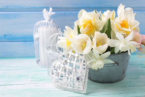 Heldere witte narcissen en tulpen — Stockfoto