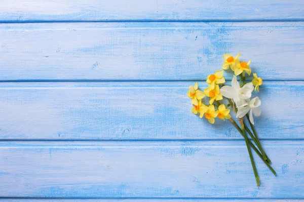 Hintergrund mit frischen Narzissen — Stockfoto