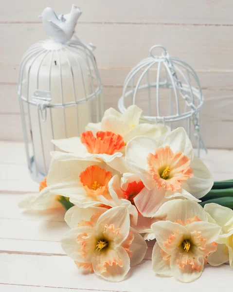 Daffodils and candles in cages — Stock Photo, Image