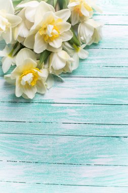 Ahşap üzerine taze nergis