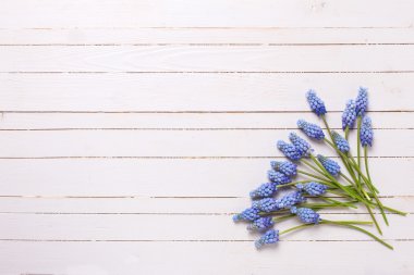 Ahşap üzerine taze muscaries