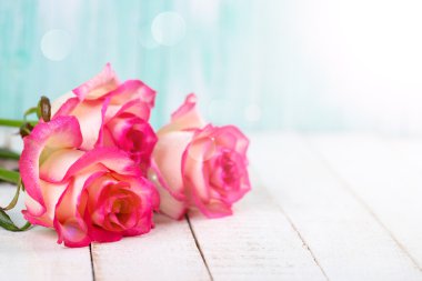 Işık hüzmesi içinde gül