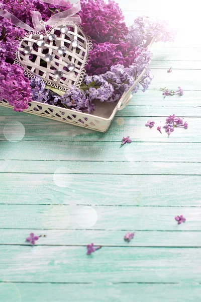 Fiori lilla su vassoio — Foto Stock