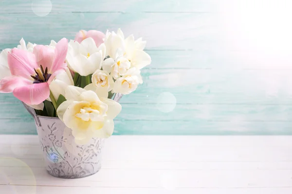 Свежие цветы тюльпан — стоковое фото