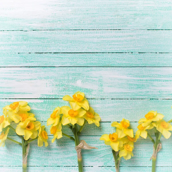 Gränsa av gula påskliljor — Stockfoto