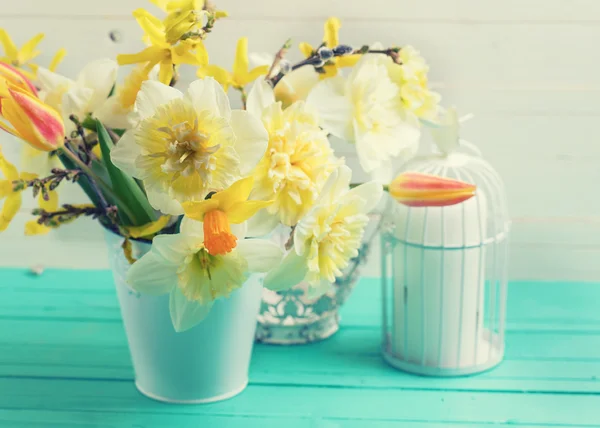 Narcisos amarillos frescos de primavera — Foto de Stock