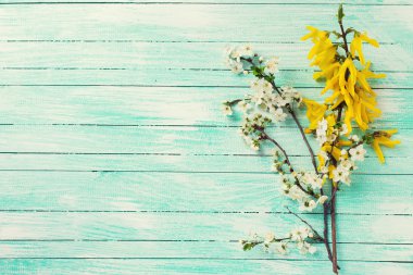 Bahar çiçekli dallar