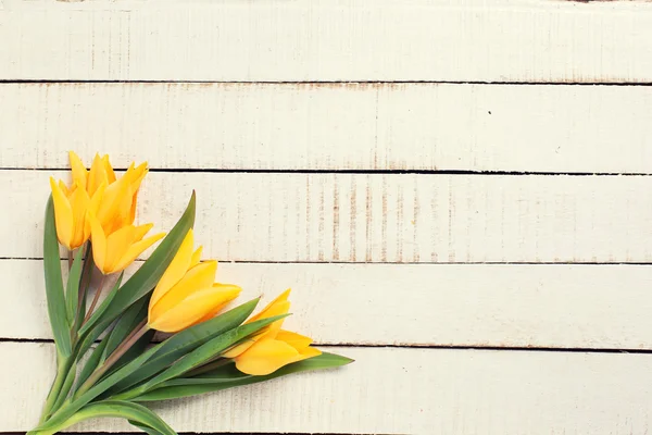 Spring yellow tulips — Stock Photo, Image