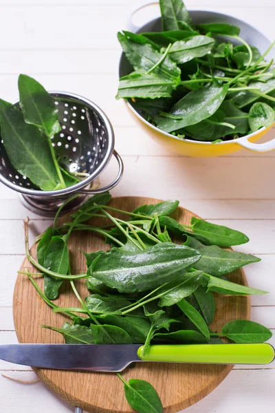 Fresh organic sorrel — Stock Photo, Image