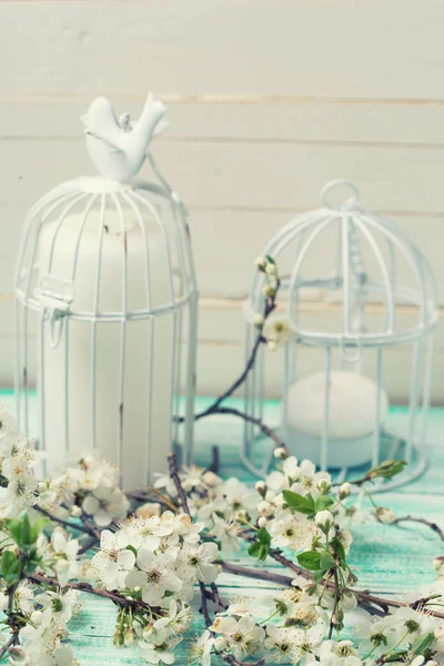 Flowering branches and candles Stock Picture