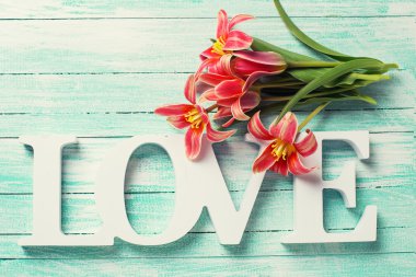 Bahar sarı kırmızı lale