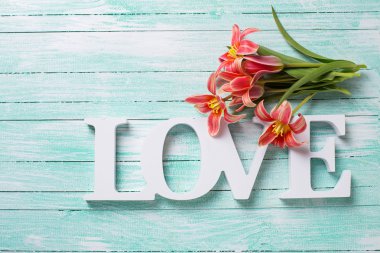 Bahar sarı kırmızı lale