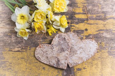 Bahar sarı nergis çiçekleri