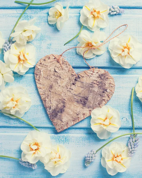 Ozdobny serca i kwiaty biały Narcyz — Zdjęcie stockowe