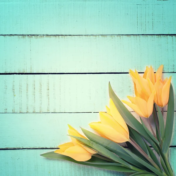 Vår ljusa tulpan blommor — Stockfoto