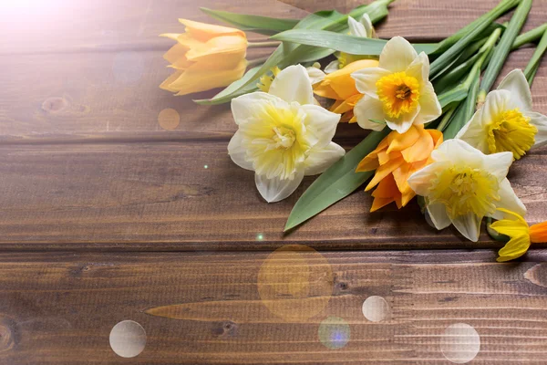 Pozadí s čerstvý tulipány a narcisy — Stock fotografie