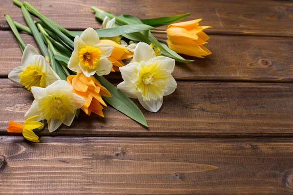 Tło z świeżych tulipany i żonkile — Zdjęcie stockowe