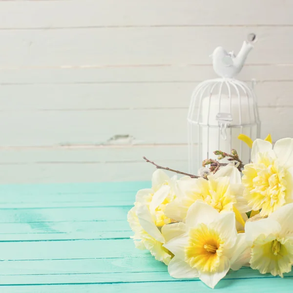 Yellow narcissus flowers — Stock Photo, Image