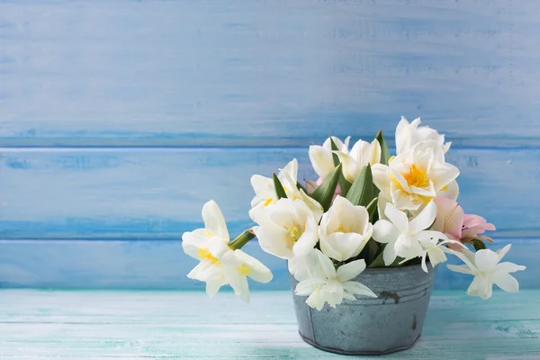 Narcissus en tulpen in kom — Stockfoto