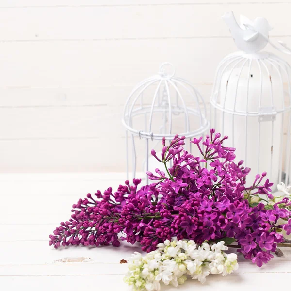 Lila květiny a svíčky — Stock fotografie