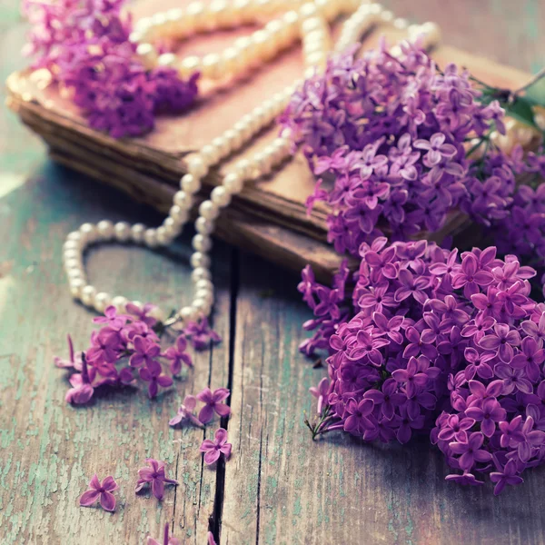 优雅的淡紫色花 — 图库照片