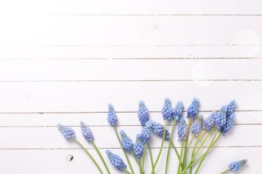 Ahşap üzerine taze muscaries