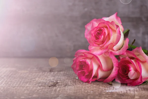 Fresh aromatic roses — Stock Photo, Image