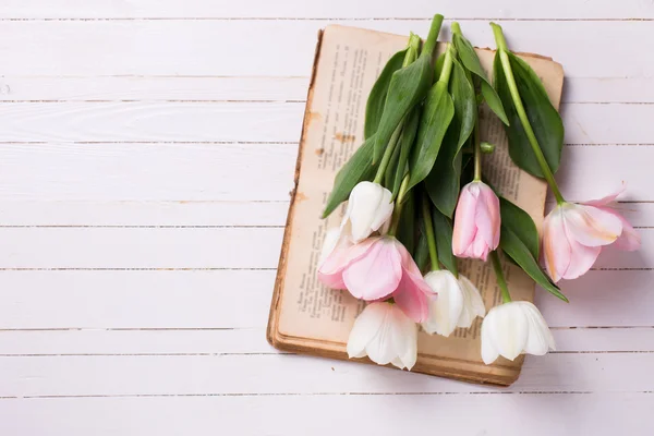 Flores no livro velho — Fotografia de Stock