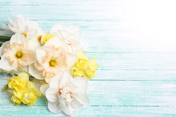 Background with bright narcissus flowers — Stock Photo, Image