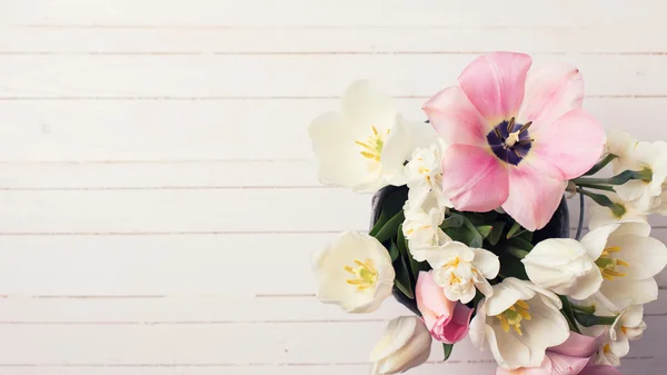 Tulipa e narciso flores — Fotografia de Stock