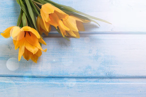 Yellow tulips flowers — Stock Photo, Image