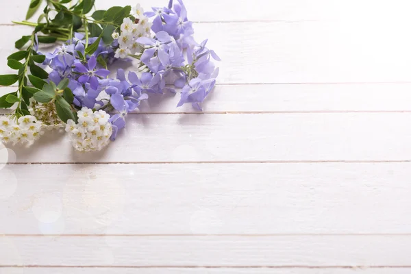 Fundo com flores azuis e brancas — Fotografia de Stock