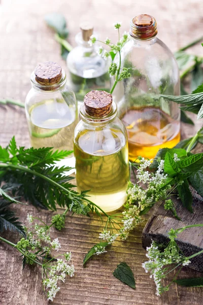 Olio aromatico essenziale — Foto Stock