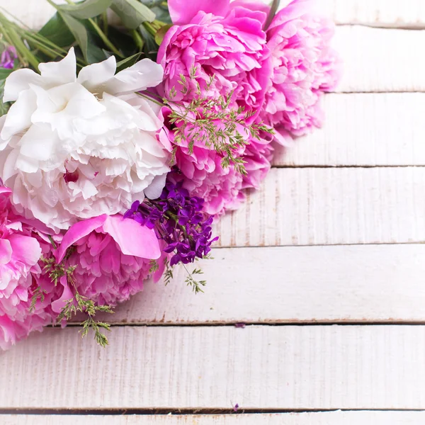 Peonías frescas de color rosa y blanco —  Fotos de Stock