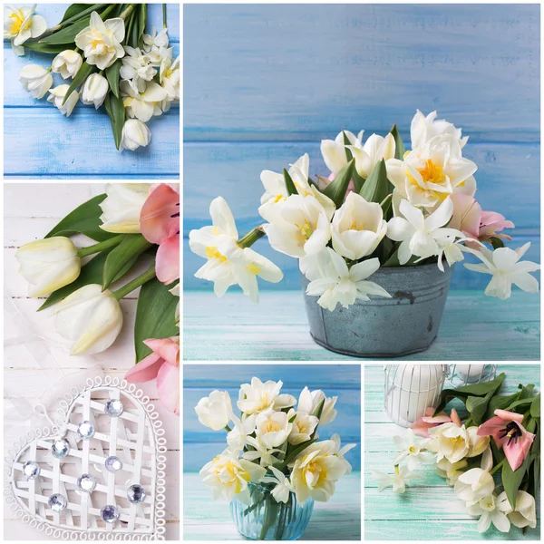 Narciso fresco e tulipas — Fotografia de Stock