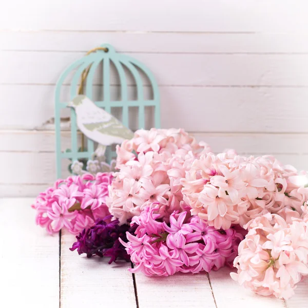 Background with fresh hyacinths — Stock Photo, Image