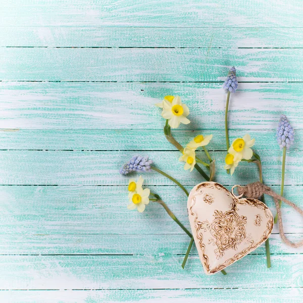 Daffodils, muscarias e coração decorativo — Fotografia de Stock