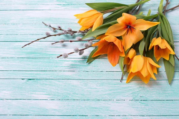 Tulips and willow flowers — Stock Photo, Image