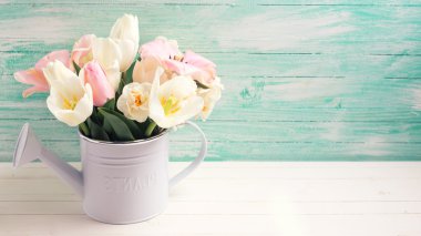 Fresh  tulip flowers clipart