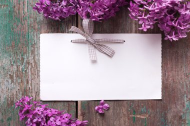 Kartpostal zarif Eflatun çiçekli