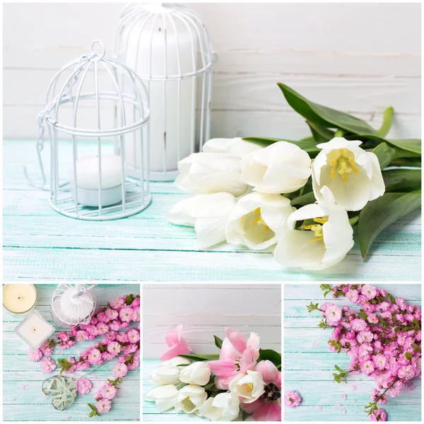 Bílé a růžové květy — Stock fotografie
