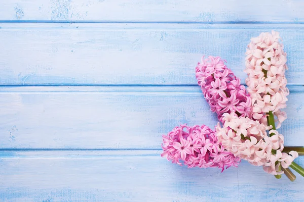 Flores frescas em madeira — Fotografia de Stock