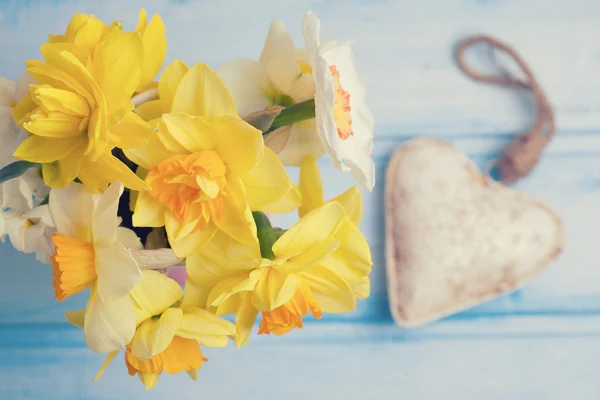 Bright yellow narcissus — Stock Photo, Image