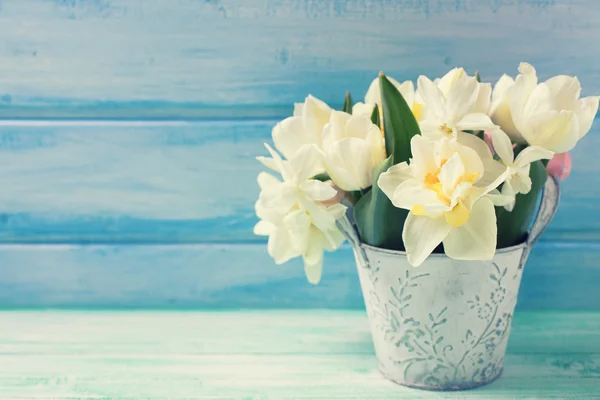 Narciso e tulipas em balde — Fotografia de Stock