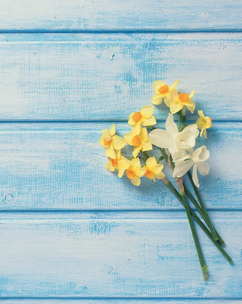 Background with fresh narcissus — Stock Photo, Image