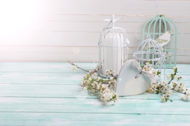 witte voorjaar bloeien